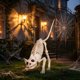 thumbnail image 5 of Figurita Crazy Bonez Lil' Kitty Bonez 18 cm, 5 of 5