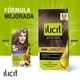 thumbnail image 2 of Coloración Ilicit Cabello 6/0 Rubio Oscuro, 45 g, 2 of 6