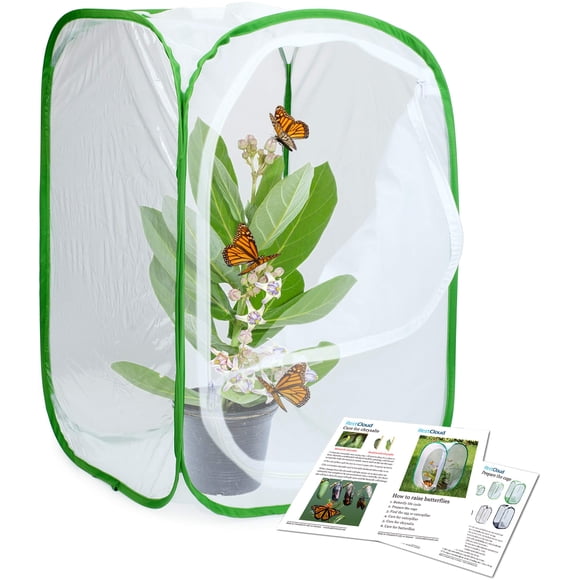 Terrario En Jaula Para Hábitat De Insectos Y Mariposas
