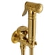 thumbnail image 2 of Bidet Grabado Baño Portátil Toliet Pulverizador Dorado, 2 of 5
