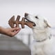 thumbnail image 2 of Juguetes masticables para perros Benebone Fishbone/Wishbone, paquete de 2 unidades, tamaño grande, 2 of 7