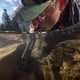 thumbnail image 5 of Filtro de agua Straw LifeStraw Peak Series para Emergency Gray, 5 of 5