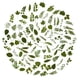 thumbnail image 1 of Stickers OBUJOPAL 100 piezas Hojas Verdes 5x5 cm PET, 1 of 6