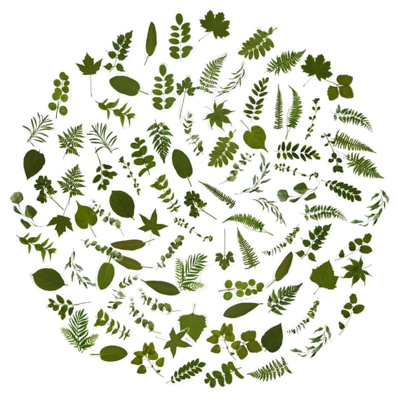 Stickers OBUJOPAL 100 piezas Hojas Verdes 5x5 cm PET