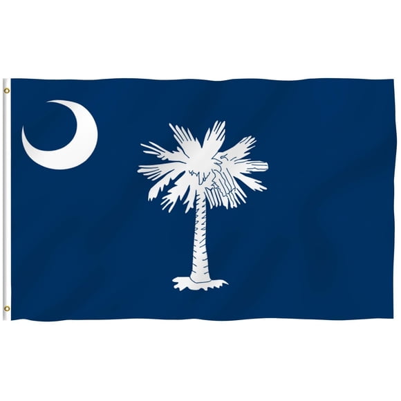 Bandera Anley Fly Breeze del estado de Carolina del Sur, 90 x 150 cm, poliéster