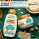 thumbnail image 4 of GARNIER ORIGINAL REMEDIES SHAMPOO ELIXIR DE ARGAN DE 300ML, 4 of 6