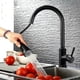 thumbnail image 1 of Llave de Cocina Monomando con Ducha Extraíble Negro Mate, 1 of 3