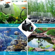 thumbnail image 4 of Bomba De Agua Sumergible 12 Luces Led Pileta Acuario Koi, 4 of 8