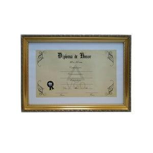 Vgo - Marco 22X33 Plastico Diploma Dorado