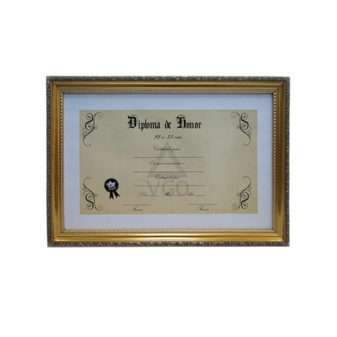 Vgo - Marco 22X33 Plastico Diploma Dorado