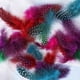 thumbnail image 4 of Lote de 50 plumas de gallina de Guinea teñidas para manualidades., 4 of 5