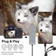 thumbnail image 5 of Adaptador Memory Stick Pro Duo, lector de tarjetas 5 en 1 USB-C, 5 of 7