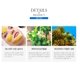 thumbnail image 2 of Mascarilla en Polvo TG153 Anskin 1 kg Refrescante y Calmante, 2 of 6