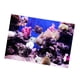 thumbnail image 1 of Pecera Acuario Pegatina Adhesivo 3D Cartel Decoración Fondo 61x41cm, 1 of 5