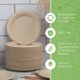 thumbnail image 4 of Platos desechables Jenvita Bamboo, respetuosos con el medio ambiente, 7 pulgadas, 500 unidades, 4 of 9