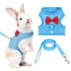thumbnail image 1 of Arnés y Correa para Conejo Uxcell, Arnés de Chaleco Lindo para Mascotas Pequeñas, Correa Ajustable Suave con Hebilla de Malla Transpirable (S, Azul Cielo), 1 of 7