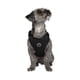 thumbnail image 2 of Arnés Perro Vibrant Life Mesh Reflectante Negro Talla S, 2 of 3