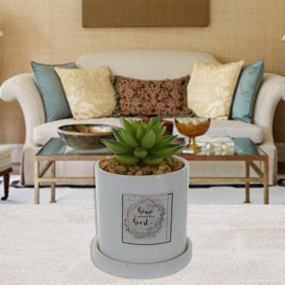 Planta Decorativa Home in The Heart