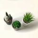 thumbnail image 3 of Planta Artificial Suculenta 6 cm Producto Surtido, 3 of 3