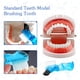 thumbnail image 3 of Modelo de dientes dentales con cepillo dental para niños Ceonam, 3 of 6