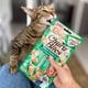 thumbnail image 5 of Inaba Snack Suplemento Para Gato Churu Bites Cat Treat 30g verde, 5 of 10