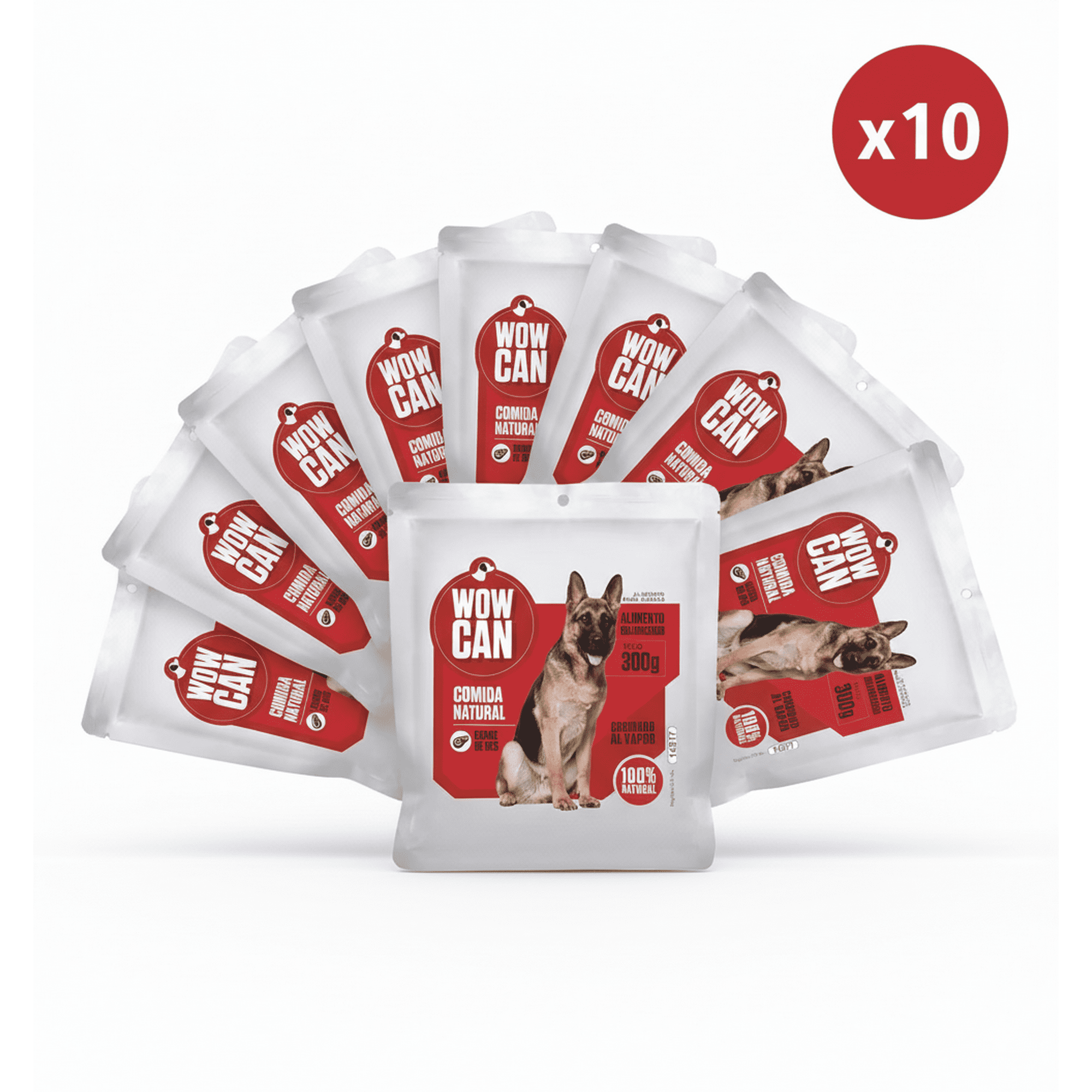 Pack X10 Vacuno 300gr Wow Can