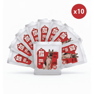 Pack X10 Vacuno 300Gr Wow Can