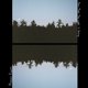 thumbnail image 1 of LP Polydor Now That The Light Is Fading Maggie Rogers, 1 of 1
