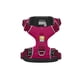 thumbnail image 1 of Arnés Ruffwear Front Range perro Hibiscus Pink L/XL 81-107cm, 1 of 2