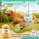 thumbnail image 2 of Probióticos para perros ZEBORA Digestive Health 120 Chews 6B CFU, 2 of 6