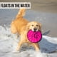 thumbnail image 3 of Juguete para perros Hyper Pet Flippy Flopper 9 Flying Disc Soft x2, 3 of 8