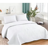 Genérico - Cubrecama Quilt Verano 2 Plazas Color Blanco
