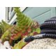 thumbnail image 3 of Cable de instrumentos Pig Hog PC-H10BKR 1/4 en ángulo recto de 10 pies, 3 of 3