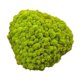 thumbnail image 2 of 25g Simulación Bolas De Musgo Piedra Bricolaje Jardín Planta Florero Decoración Verde, 2 of 5