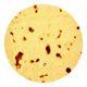 thumbnail image 1 of Flour Taco Throw Blanket Para Camping Casa Sofá Oficina Tortilla A 150cm, 1 of 5