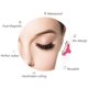 thumbnail image 4 of Máscara Mary Kay Ultimate Black, 8 ml, volumen, 5 veces, limpiaparabrisas inteligentes, 4 of 6