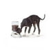 thumbnail image 2 of Dispensador De Comida Para Mascota Perros Y Gatos, 2 of 2