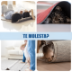 thumbnail image 2 of Almohadillas Para Fijar Alfombras Antideslizantes Pack X4 #3, 2 of 3