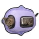 thumbnail image 2 of Camastro para gato Pet Life 'Purr-View' con ventana transparente y ventosas, 2 of 6