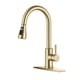 thumbnail image 1 of Grifo de cocina FORIOUS Gold con pulverizador desplegable de acero inoxidable, 1 of 6