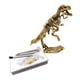 thumbnail image 1 of Los Kits De Excavación De Dinosaurios Para Niños Cavan Un Dinosaurio De Juguete Educativo Tyrannosaurus, 1 of 5