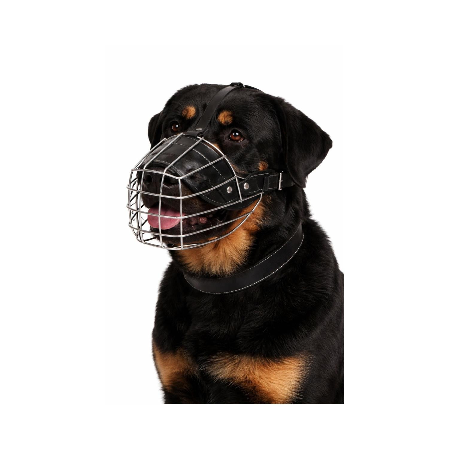 Bozal Perro Acero y Cuero Talla XXL (4) Perros 59 a 70 cm