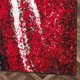thumbnail image 4 of Alfombra Amigo Roja 240x305, 4 of 6
