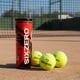 thumbnail image 3 of Pelotas de Padel Sixzero Classic Tarro 3 Unidades, 3 of 10
