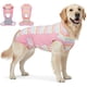 thumbnail image 1 of Traje De Recuperación Para Perro Transpirable Anti Lamido Posquirúrgico, 1 of 7