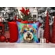 thumbnail image 2 of Almohada Decorativa Schnauzer Hippie Dawg, 2 of 6