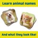 thumbnail image 5 of Juego de mesa Chuckle & Roar Matching Game Baby Animals 3+ Years, 5 of 6
