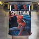 thumbnail image 1 of Spider-Man Poses 3 Piece Sets Full/Queen Size - Reversible Microfiber Quilts with 2 Shams Soft Lightweight Bedspread Coverlet Comforter for All Season Bed Sheets, 1 of 5
