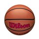 thumbnail image 5 of Juego de baloncesto Wilson Evolution Scarlet Intermediate 28,5 cm, 5 of 6