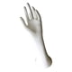thumbnail image 1 of Mano de maniquí femenino, soporte para anillos, soporte para exhibición de joyas de decoración, organizador de joyas para decoración de habitaciones,, 1 of 5